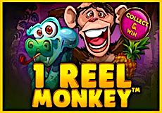 1 Reel Monkey