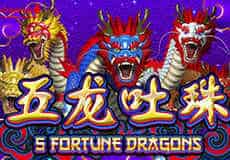 5 Fortune Dragons