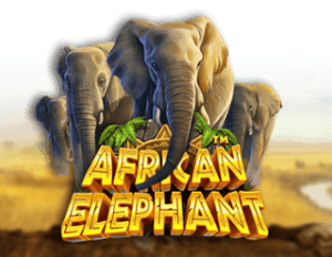 African Elephant