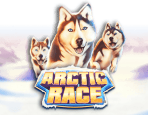 Arctic Race