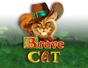 Brave Cat