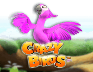 Crazy Birds