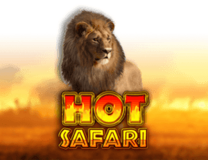 Hot Safari