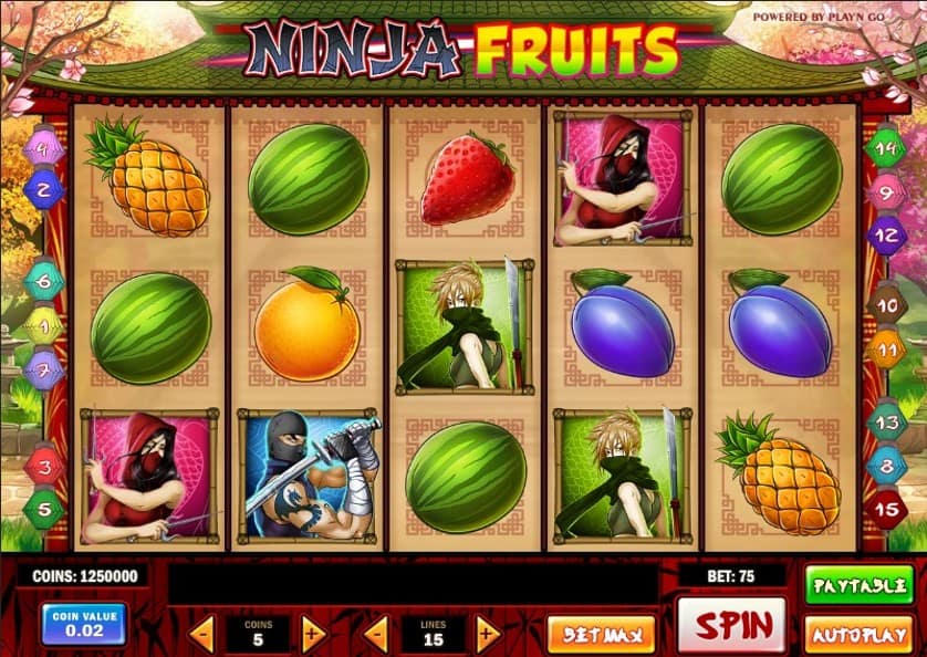 Hraj zadarmo Ninja Fruits