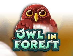 Owl In Forest