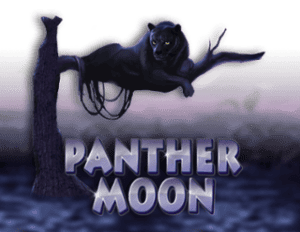 Panther Moon