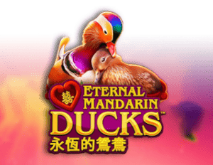 Power Prizes – Eternal Mandarin Ducks