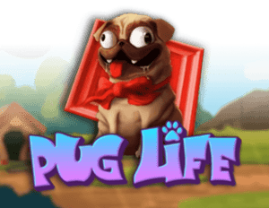 Pug Life