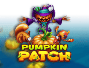 Pumpkin Patch