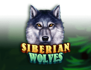 Siberian Wolves