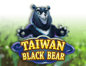 Taiwan Black Bear