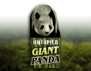 Untamed Giant Panda