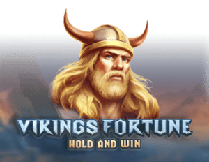 Vikings Fortune