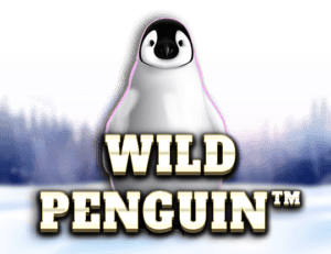 Wild Penguin