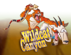 Wild Cat Canyon