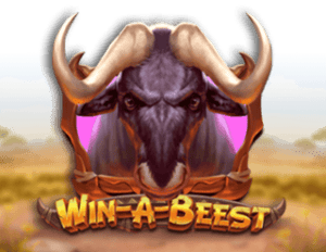 Win A Beest