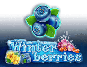 Winter Berries