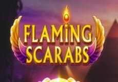 Flaming Scarabs