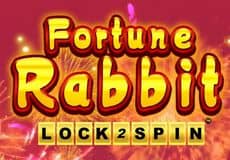 Fortune Rabbit