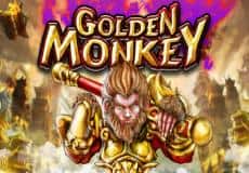 Golden Monkey