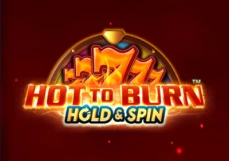 Hot to Burn Hold & Spin