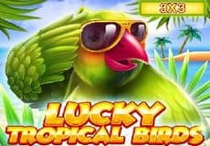 Lucky Tropical Birds 3×3