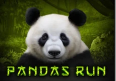 Panda’s Run