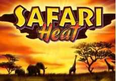 Safari Heat