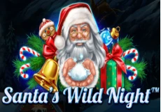 Santa’s Wild Night