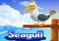 Seagull