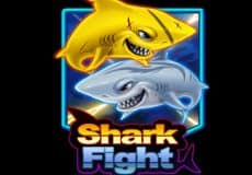 Shark Fight