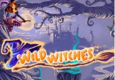 Wild Witches