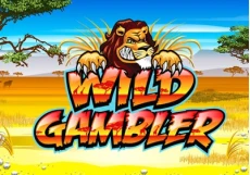 Wild Gambler