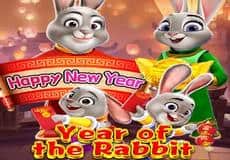 Year of the Rabbit